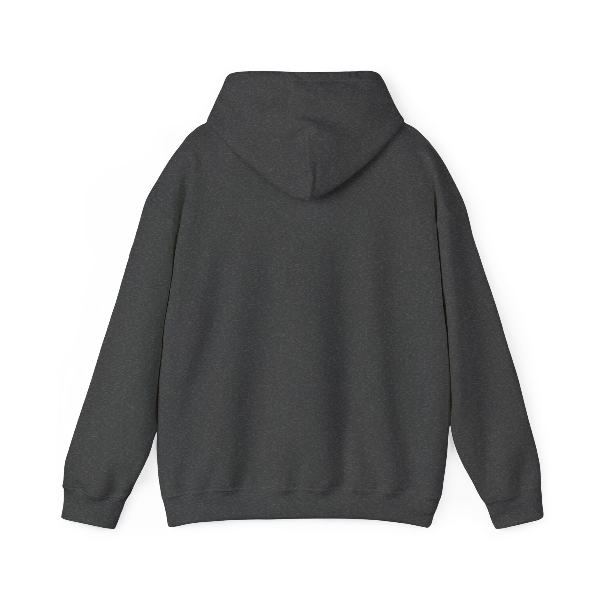Unisex Heavy Blend™  MMC Hooded Sweatshirt mm3